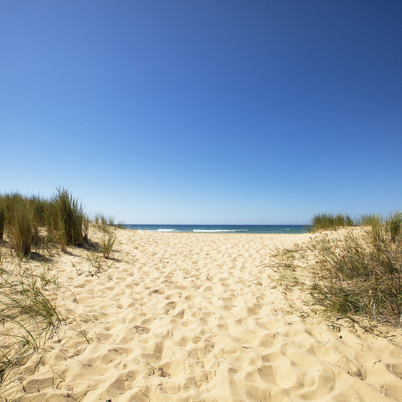 Lake Tyers Beach